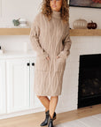 Bundled Beauty Turtleneck Sweater Dress