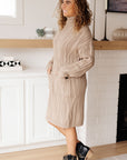 Bundled Beauty Turtleneck Sweater Dress