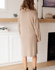 Bundled Beauty Turtleneck Sweater Dress