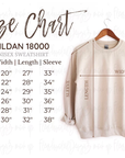 Let's Go Pennant in Grey Sweatshirt