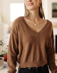 Back to Life V-Neck Sweater in Mocha