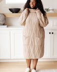Bundled Beauty Turtleneck Sweater Dress