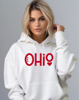 Ohio Hoodie Sweatshirt- Plus