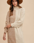 Annie Wear Color Block Turtleneck Sweater Dress