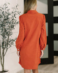 Clever in Corduroy Shirt Dress
