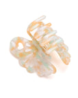 Large Jelly Claw Clip Set of 4